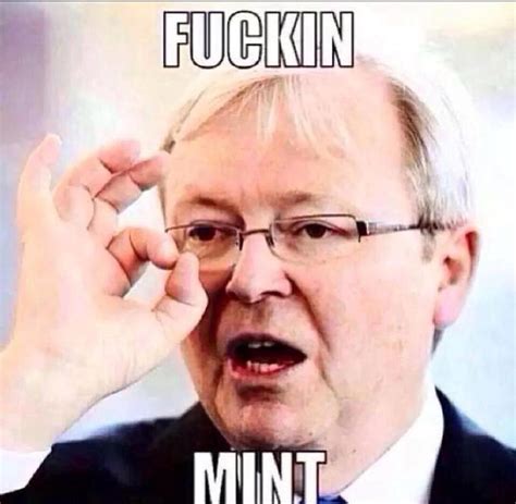 kevin rudd fuckin mint|Fucking Mint